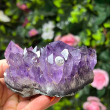 Load image into Gallery viewer, Amethyst Cluster Specimen
