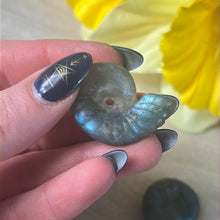 Load image into Gallery viewer, Lab Labradorite Shell
