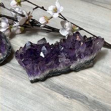 Load image into Gallery viewer, Amethyst Cluster Specimen
