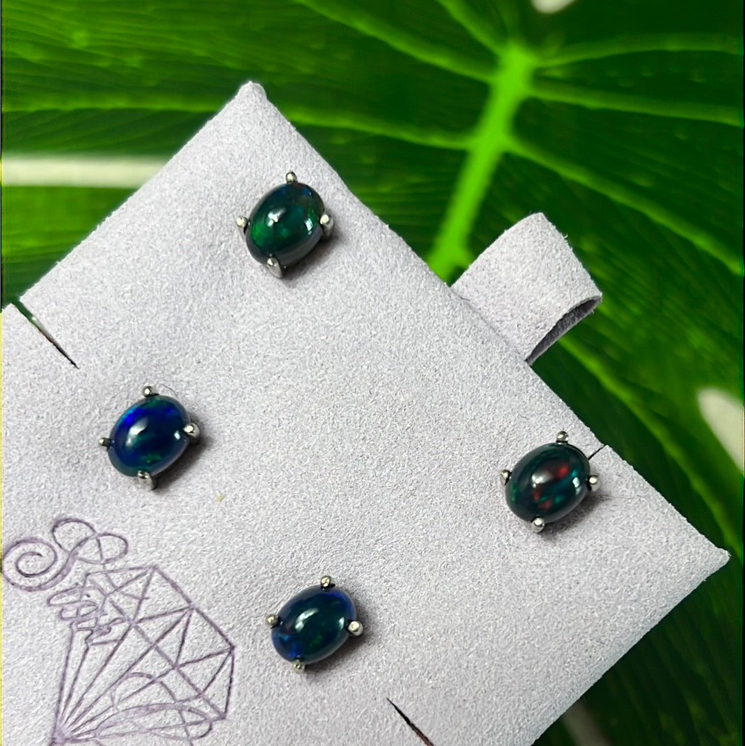 Black Fire Opal Sterling Studs Earrings