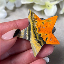 Load image into Gallery viewer, Bumblebee Jasper Star
