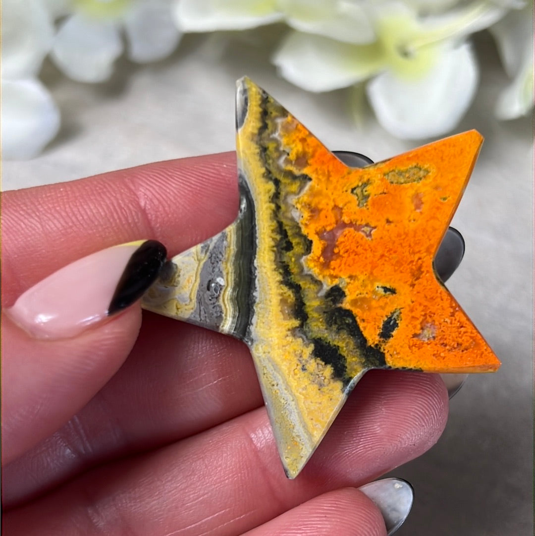 Bumblebee Jasper Star