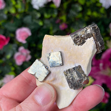 Load image into Gallery viewer, Pyrite in calcite
