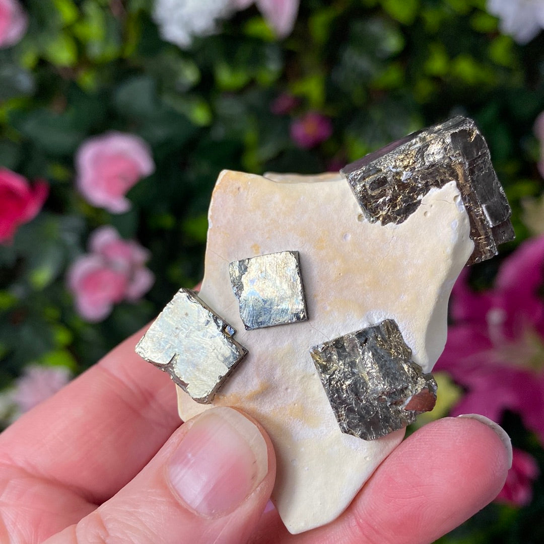 Pyrite in calcite