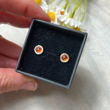 Load image into Gallery viewer, Amber 925 Sterling Studs Earrings
