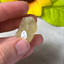 Load image into Gallery viewer, Libyan Desert Glass Specimen
