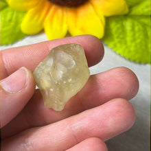 Load image into Gallery viewer, Libyan Desert Glass Specimen
