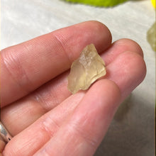 Load image into Gallery viewer, Libyan Desert Glass Specimen
