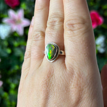 Load image into Gallery viewer, AAA Ammolite 925 Sterling Silver Ring -  Size N 1/2 - O
