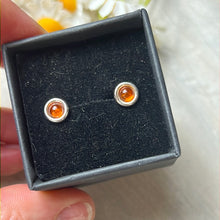 Load image into Gallery viewer, Amber 925 Sterling Studs Earrings
