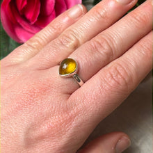 Load image into Gallery viewer, Amber 925 Sterling Silver Ring -  Size L 1/2
