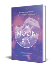 Load image into Gallery viewer, The Moon Fix Book
