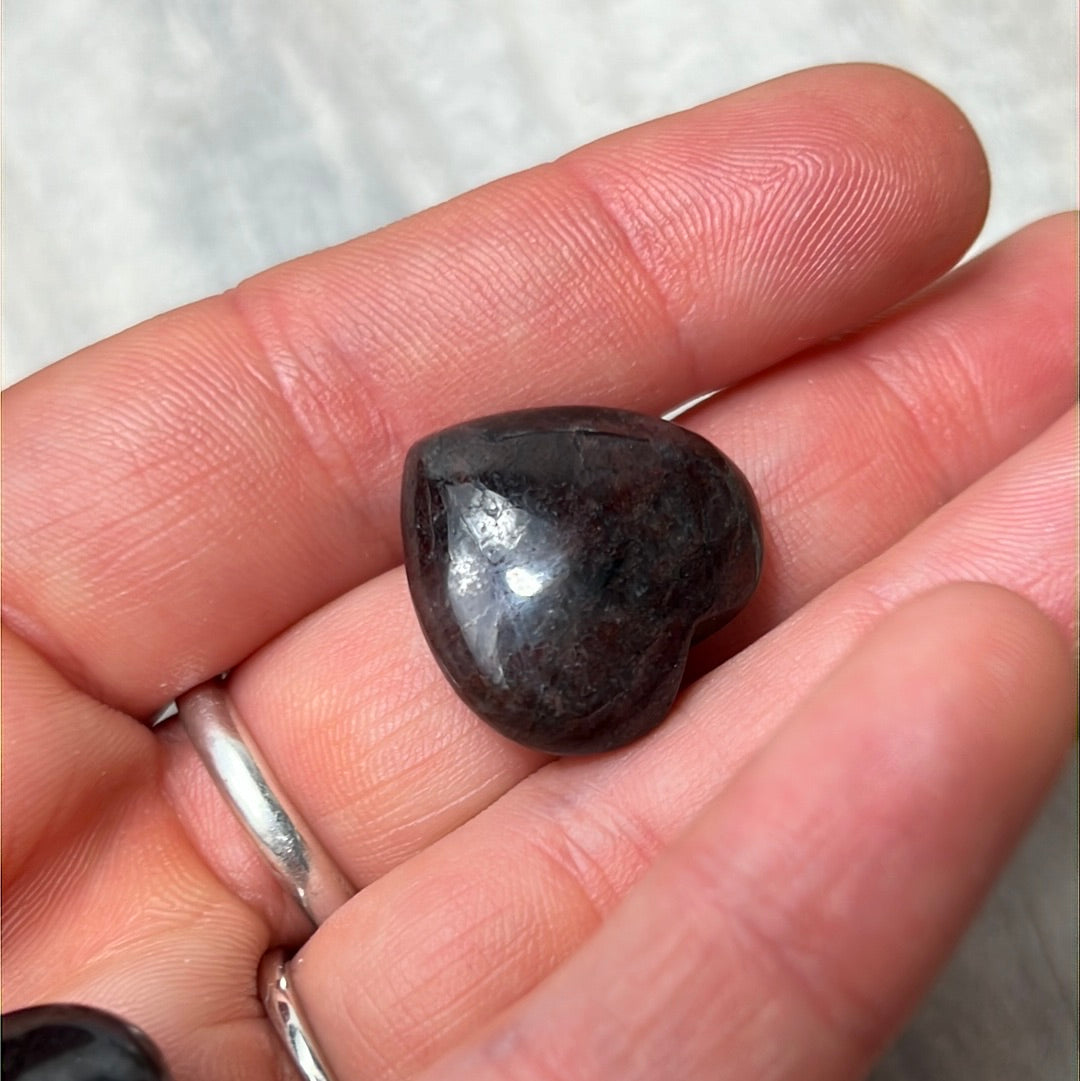 Rare Small Arfvedsonite with Garnet Heart